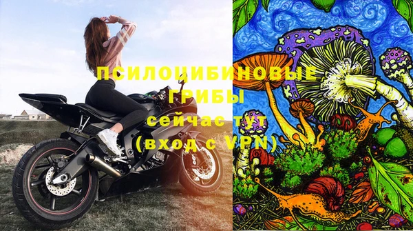 spice Белоозёрский
