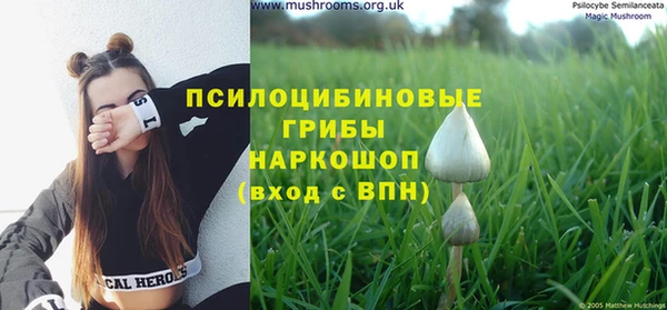 spice Белоозёрский