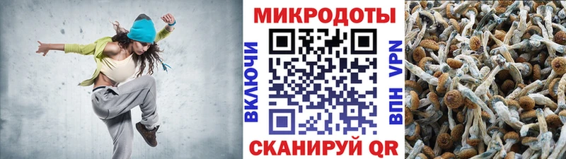 купить наркотики сайты  Вятские Поляны  KRAKEN ССЫЛКА  Псилоцибиновые грибы ЛСД 